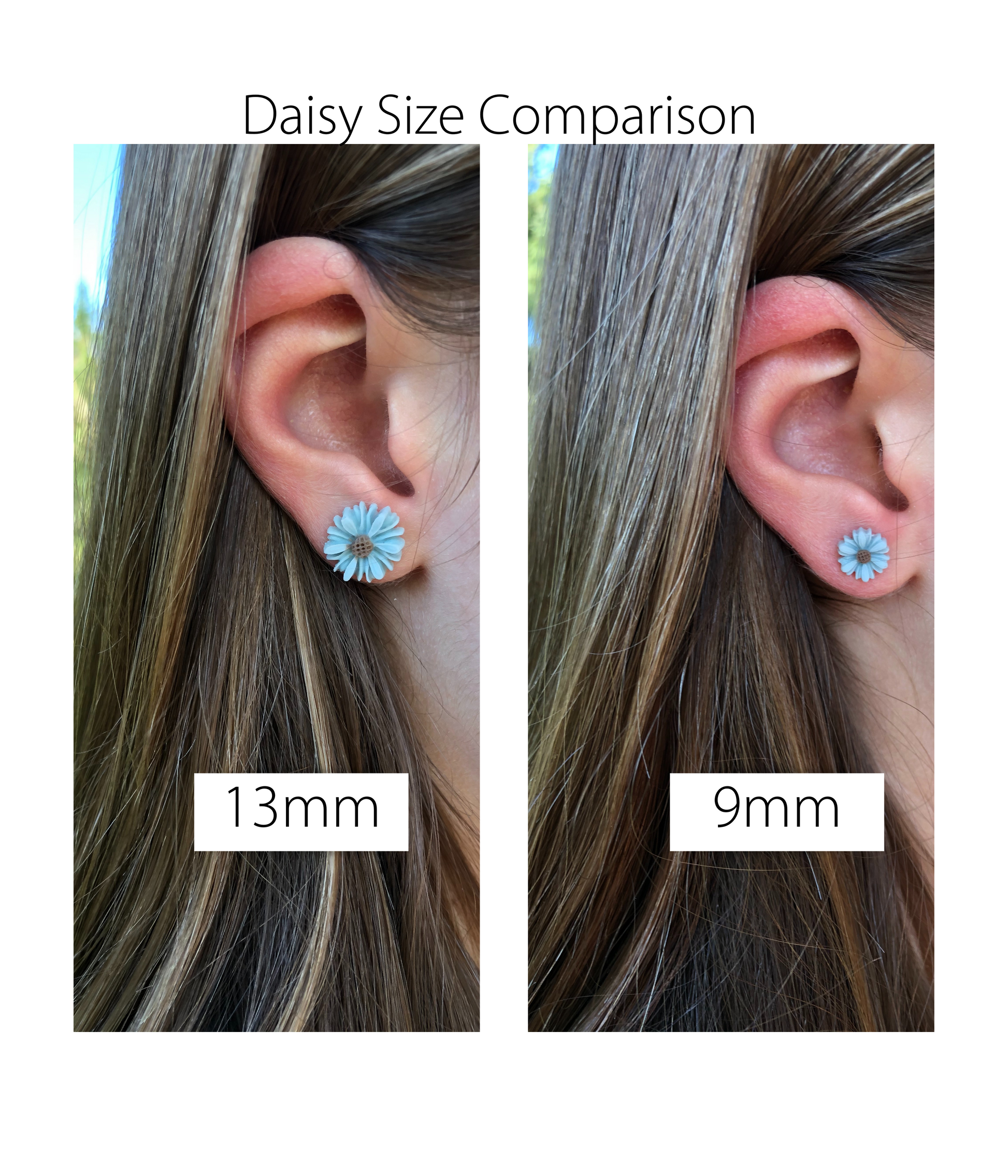 Daisy Size Comparison on Model